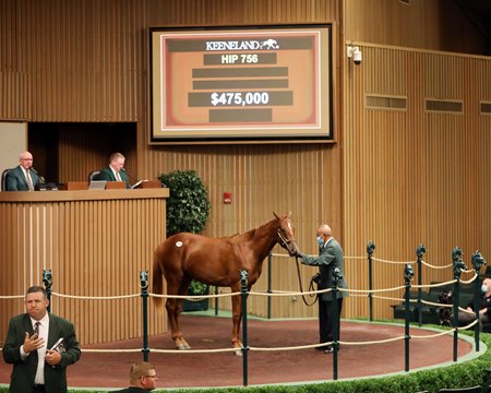 The Gun Runner colt consigned as Hip 756 in the ring at the Keeneland September Sale