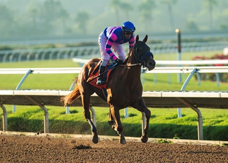 Grace Adler wins the Del Mar Debutante at Del Mar