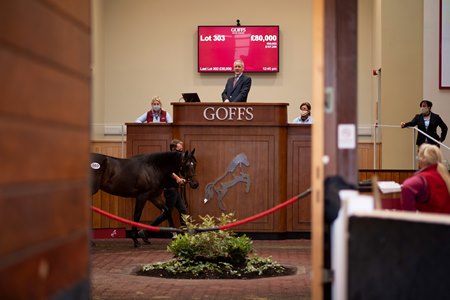 Henry Beeby presides over the Goffs UK Doncaster Sale