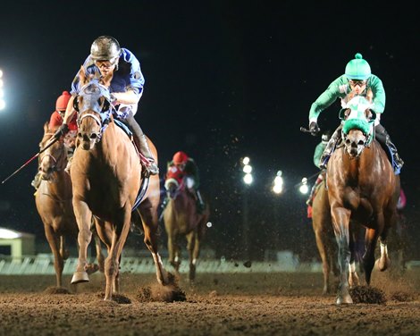 Saturday Night Racing Canterbury Seeks Return of Saturday Night Racing in '22 - BloodHorse