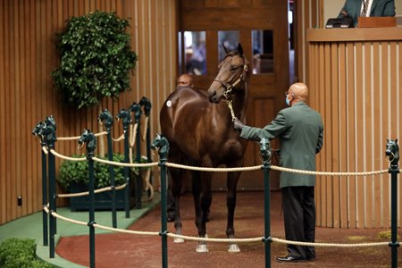 The Street Sense colt consigned as Hip 1022 in the ring at the Keeneland September Sale