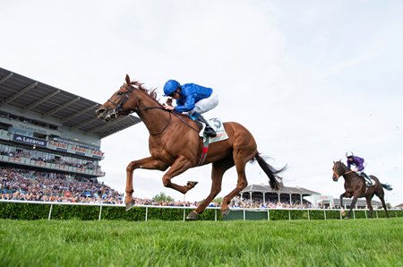 Hurricane Lane wins the St. Leger at Doncaster Racecourse