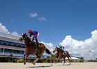 Hockey Arena to Usher in Decade of Change at Belmont - BloodHorse