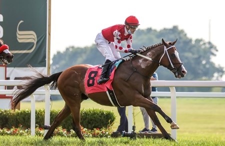 Snapper Sinclair Entering Stud at McMahon Thoroughbreds - BloodHorse