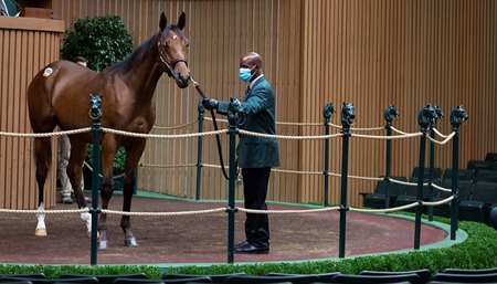 A yearling in the sales ring during the 2021 September Yearling Sale at Keeneland