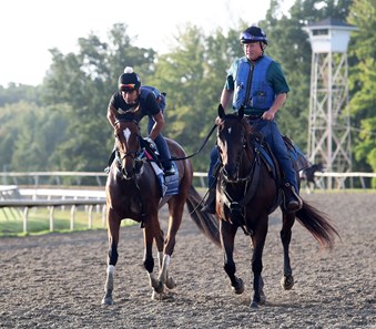 Clairiere - Horse Profile - BloodHorse