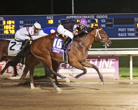 Fiesty Fist wins the D. S. Shine Young Futurity at Evangeline Downs