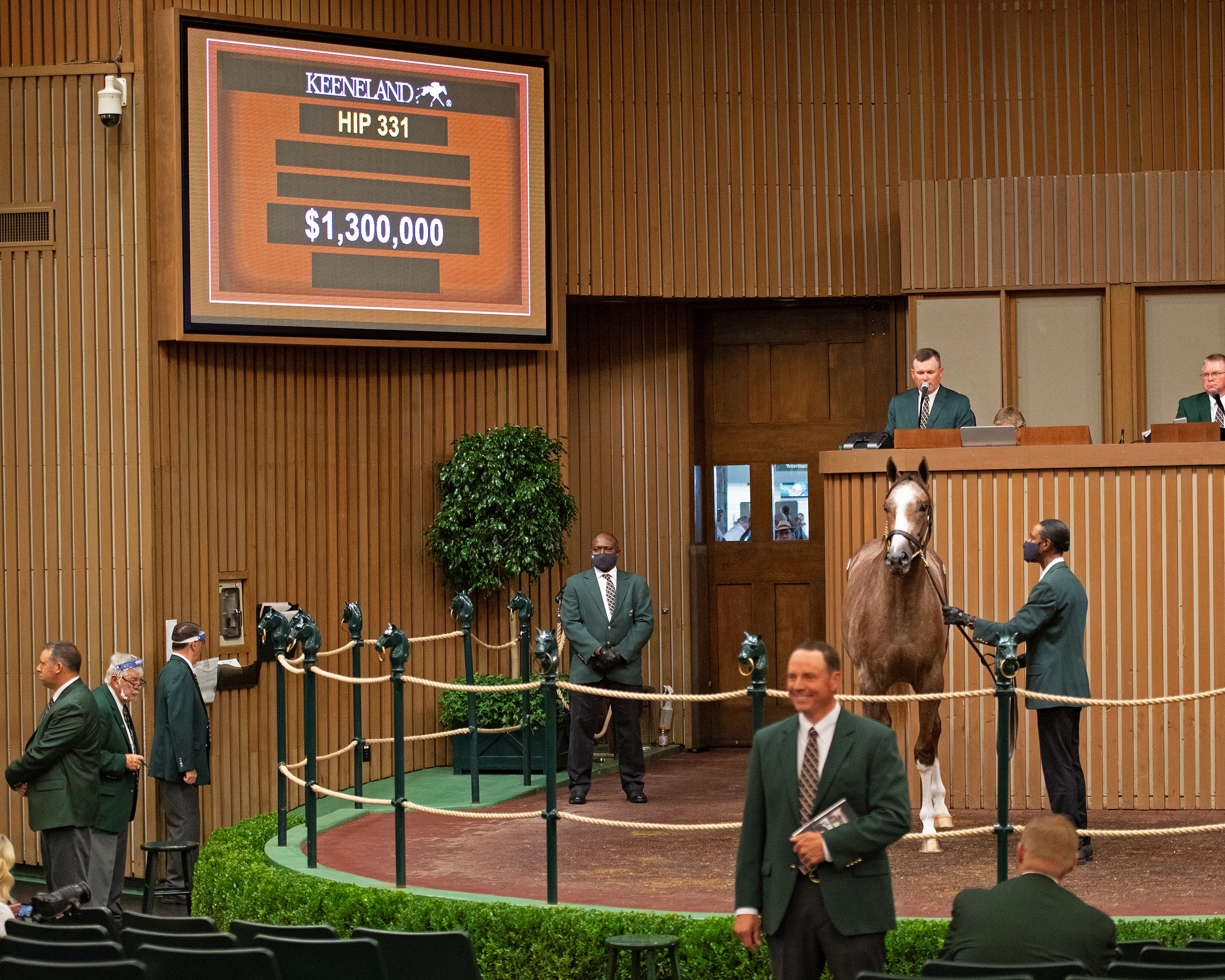 Whisper Hill Lands $1.3M Tapit Colt Bred By Gainesway - TrueNicks.com