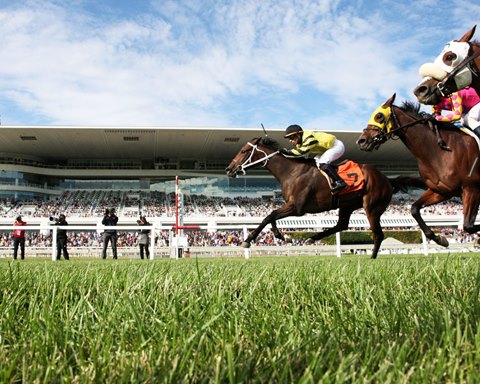 Chicago Bears complete purchase of Arlington Park property for possible  stadium 