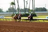 #1 LIVINGMYBESTLIFE (Juan Hernandez)
$75,000 Lucky Spell Stakes
Owner: Honis Racing, LLC
Trainer: John Sadler
Friday, September 24, 2021
Los Alamitos Race Course
Cypress CA.
&#169; BENOIT PHOTO