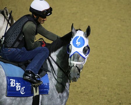 Essential Quality No 1 In Final Bc Classic Rankings Bloodhorse
