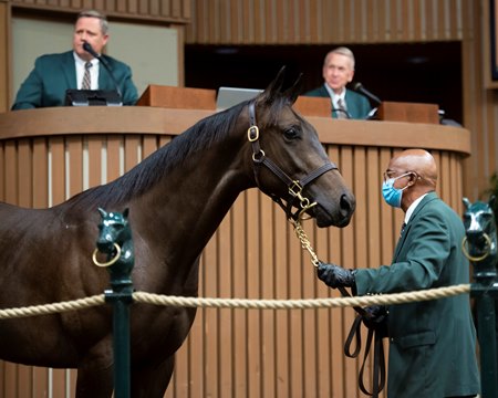 The Street Sense colt consigned as Hip 1022 in the ring at the Keeneland September Sale