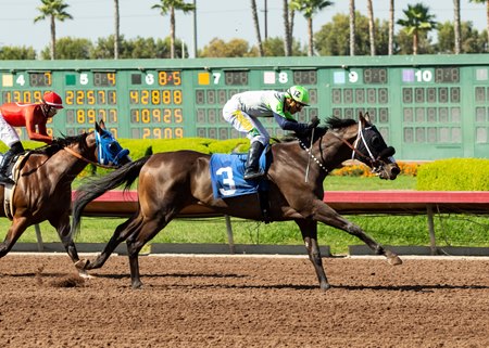 Los Alamitos Announces Fall Stakes Schedule - BloodHorse