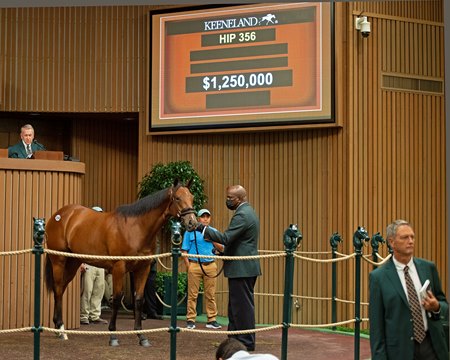 The Into Mischief filly consigned as Hip 356 in the ring at the Keeneland September Sale
