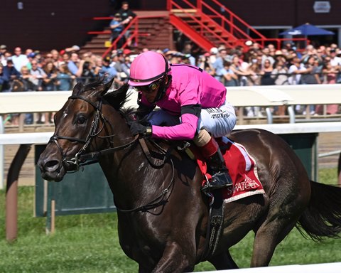 Tell Your Daddy Goes All The Way In Bernard Baruch Bloodhorse