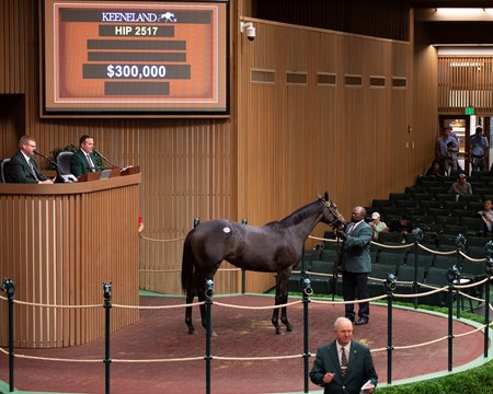 The Bernardini filly consigned as Hip 2517 in the ring at the Keeneland September Sale