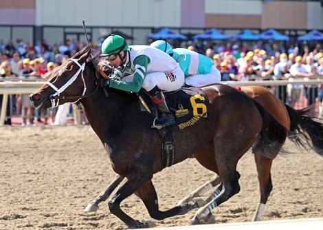 Chub Wagon Named Pennsylvania-Bred Horse of the Year