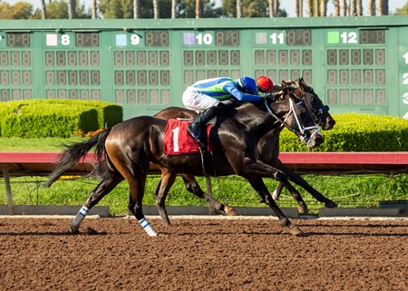 Los Alamitos Race Course