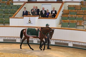Fabilis consigned as Lot 380 in the ring at the 2020 Tattersalls August Sale
