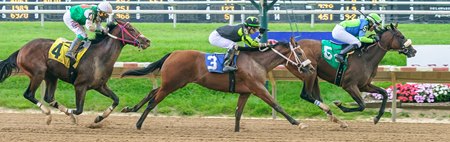 My Thoughts (No. 5) breaks her maiden at Delaware Park