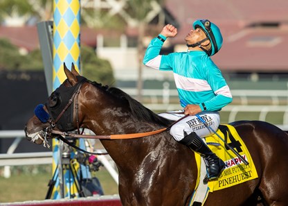 Pinehurst - Horse Profile - BloodHorse