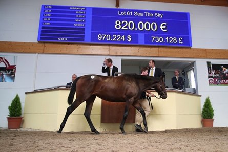 The Sea The Stars filly consigned as Lot 61 in the ring at the BBAG Yearling Sale in 2020