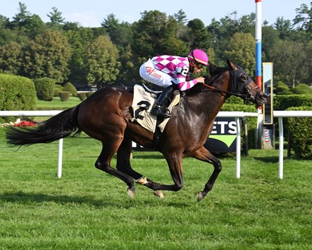L'Imperator wins an allowance optional claiming race at Saratoga Race Course