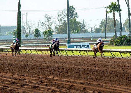 Racing at Los Alamitos Race Course