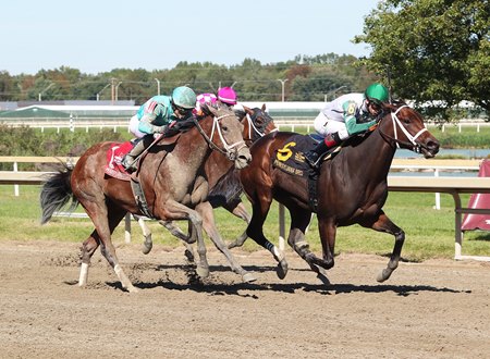 five stakes added to conclude 2021 season at parx bloodhorse