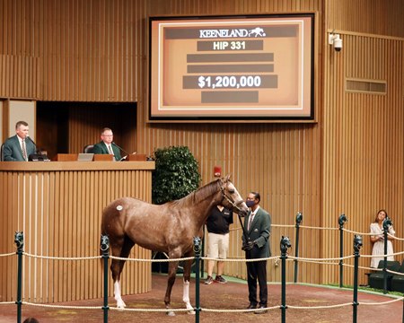 Tapit Trice in the sales ring during the 2021 Keeneland September Sale
