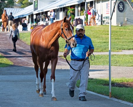 The Galileo filly consigned as Hip 2 at the Keeneland September Sale