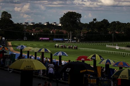 Leopardstown