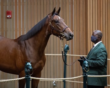 Horse Stalls — 307 Horse Racing