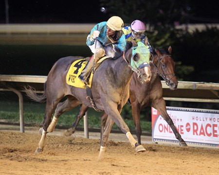 The Sky Is Falling wins the West Virginia Triple Crown Nutrition Breeders' Classic Stakes at Charles Town