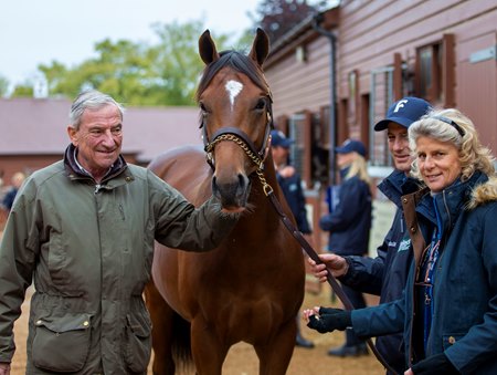 The Galileo colt consigned as Lot 101 with Luca and Sara Cumani