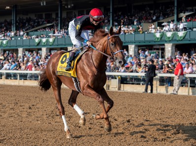 Rattle N Roll - Horse Profile - BloodHorse