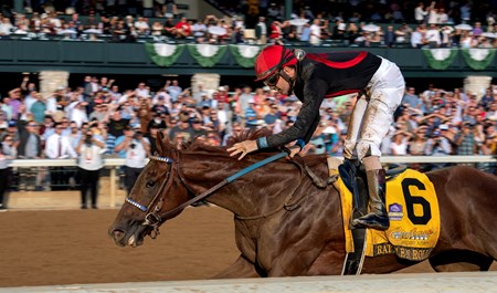 Rattle N Roll - Horse Profile - BloodHorse