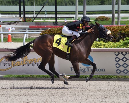 Science Friction breaks her maiden at Gulfstream Park