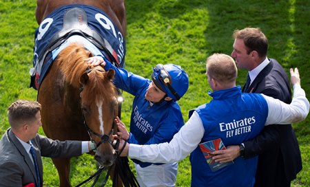 Creative Force is greeted by his connections after his British Champions Sprint score at Ascot Racecourse