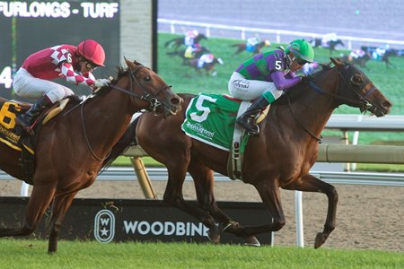 Avie's Flatter wins the Nearctic Stakes at Woodbine