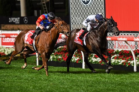 jonker prevails in manikato stakes bloodhorse