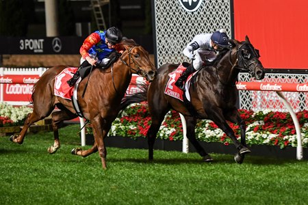 Jonker (inside) wins the Manikato Stakes at Moonee Valley Racecourse