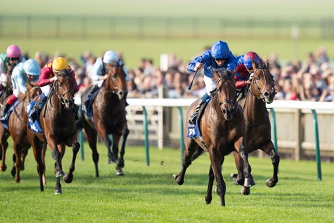 53cfc1000b8b4ed38bd6ca6ce1dda907.jpg