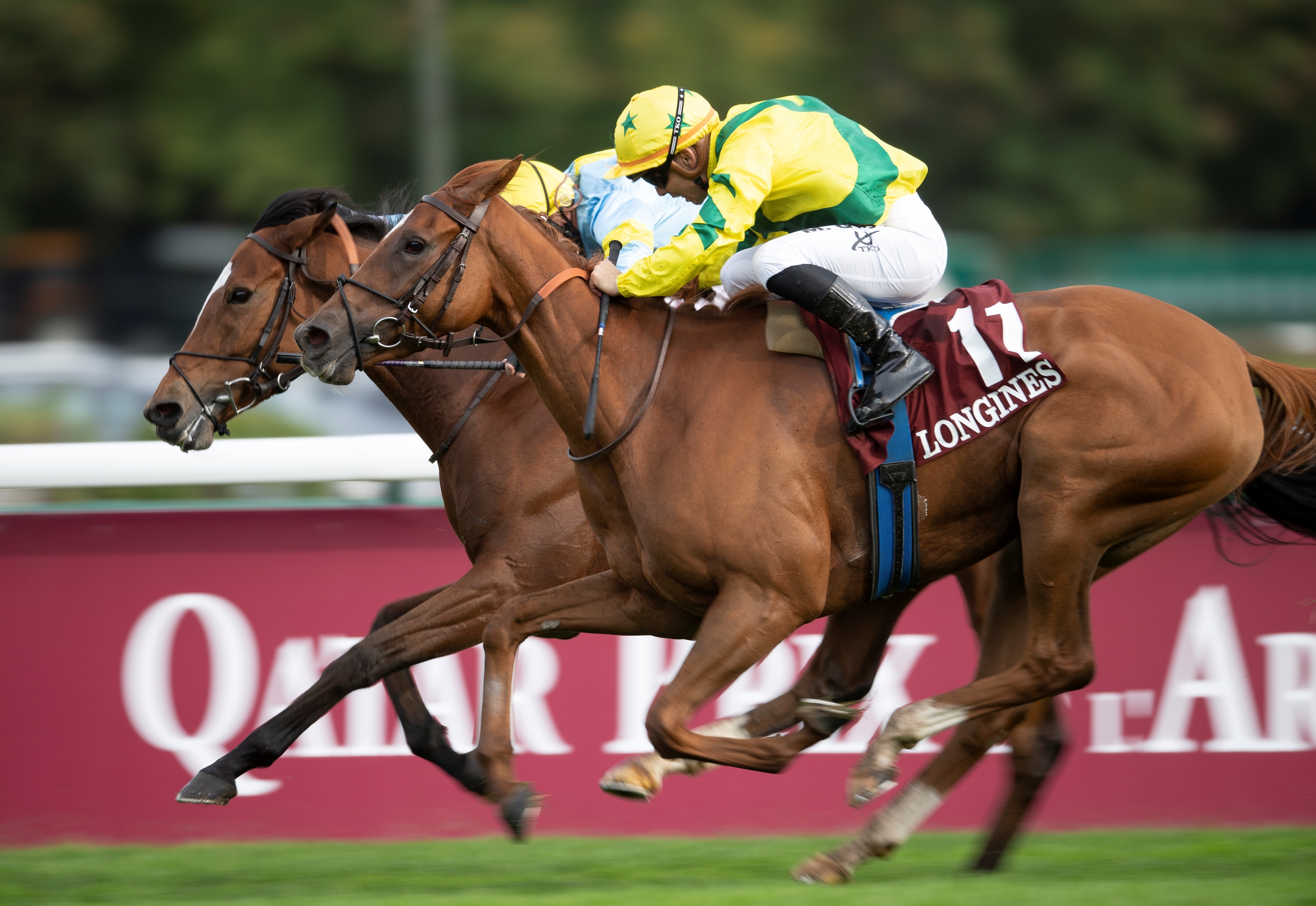 Opera Heroine Rougir Among Wildcards for Arqana Sale BloodHorse