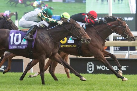 Christophe Clement trainees Mutamakina and La Dragontea finish 1-2 in the E.P. Taylor Stakes at Woodbine