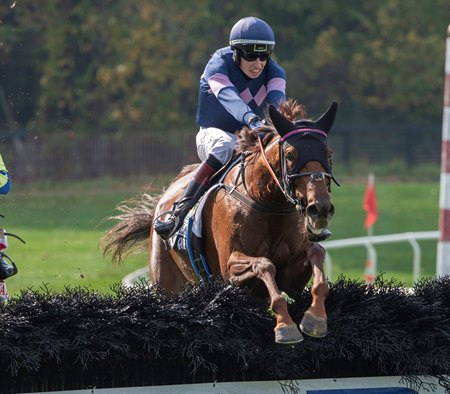 The Mean Queen wins the 2021 Grand National at the Far Hills Race Meeting