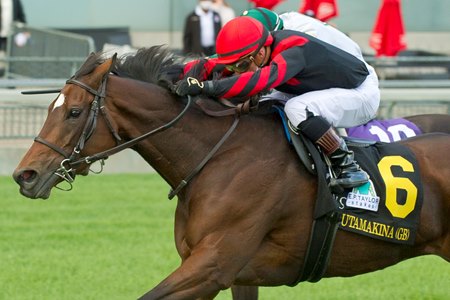 E. P. Taylor Stakes (G1T): Mutamakina (GB) - BloodHorse