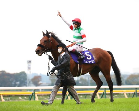 Efforia after his victory in the 2021 Tenno Sho (Autumn) at Tokyo Racecourse