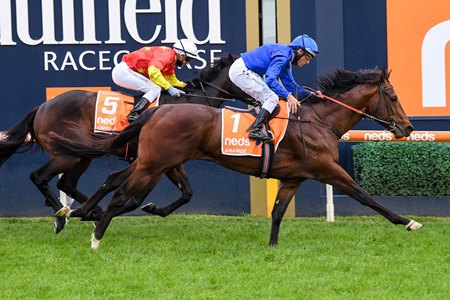 Anamoe wins the Caulfield Guineas at Caulfield Racecourse