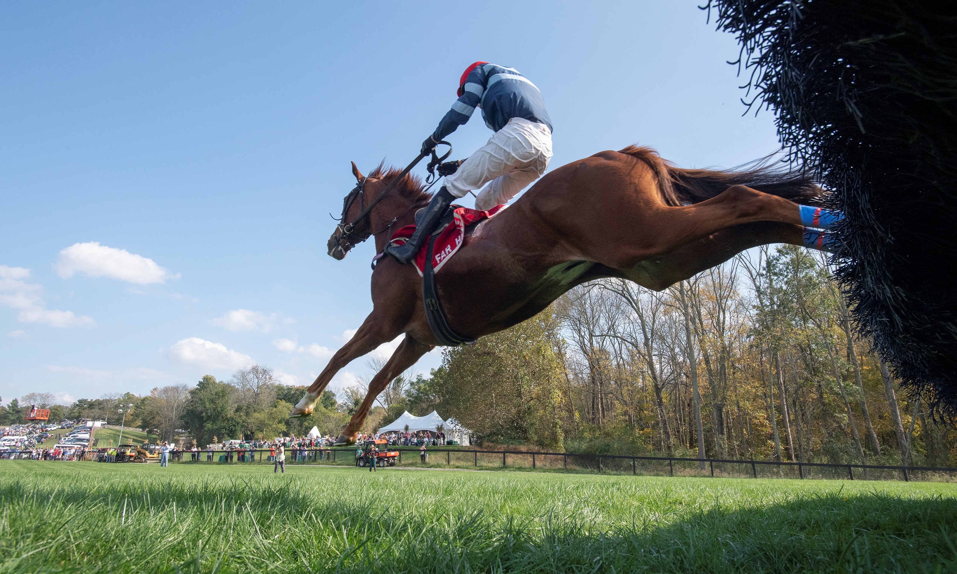 Far Hills Meet Will Have Large Crowd Jumping for Joy BloodHorse